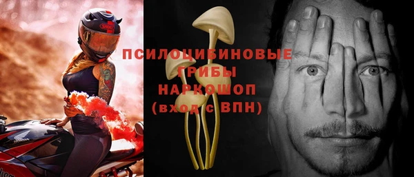 МДПВ Струнино