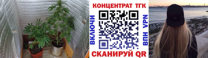 ТГК Wax  Вольск 