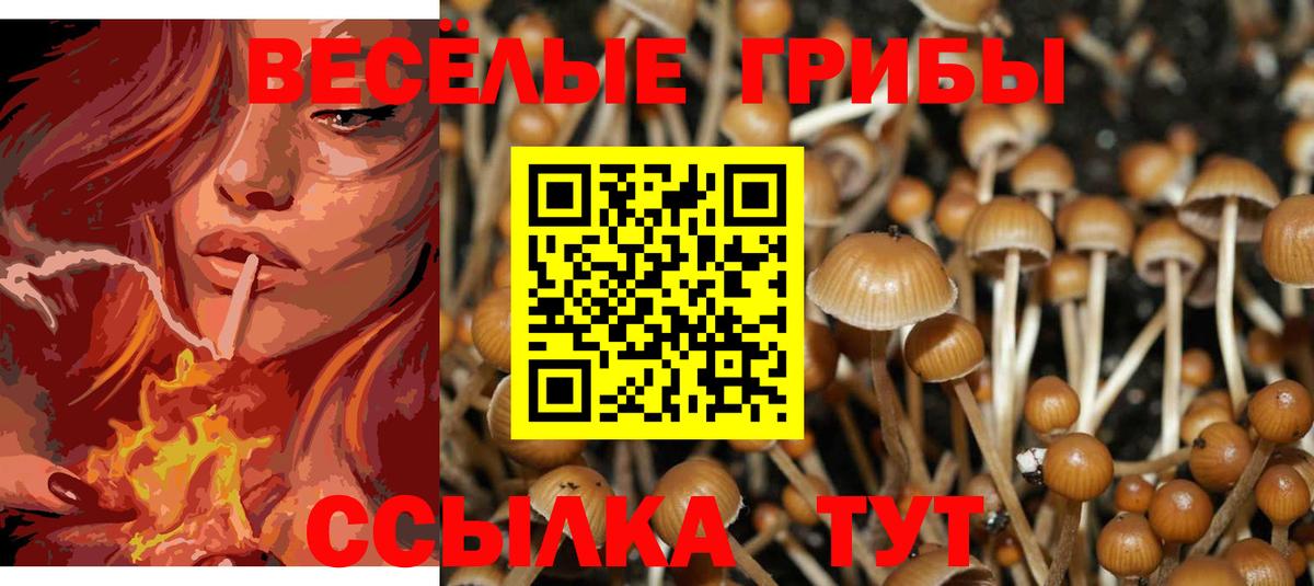 Галлюциногенные грибы Magic Shrooms Вольск