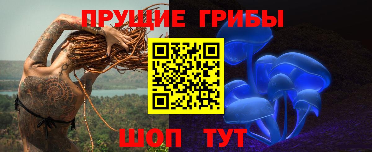 Псилоцибиновые грибы Cubensis  Вход с VPN  закладка  Вольск 